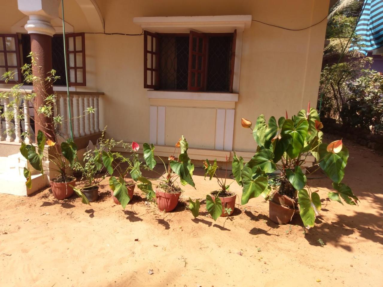 21In Guest House Calangute Bagian luar foto